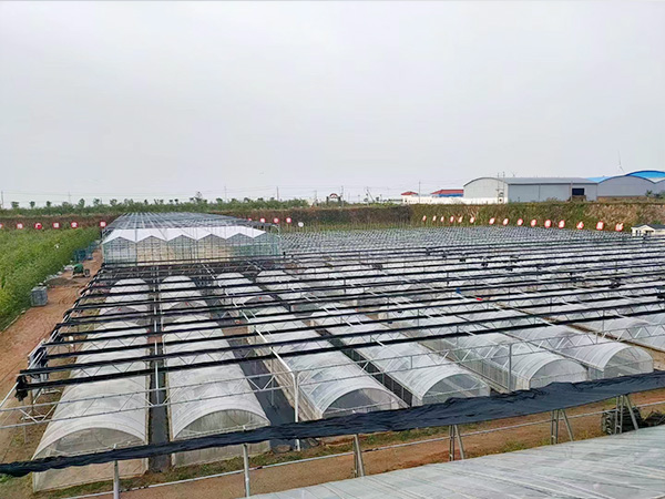 搭建溫室大棚的主要標準有哪些?
